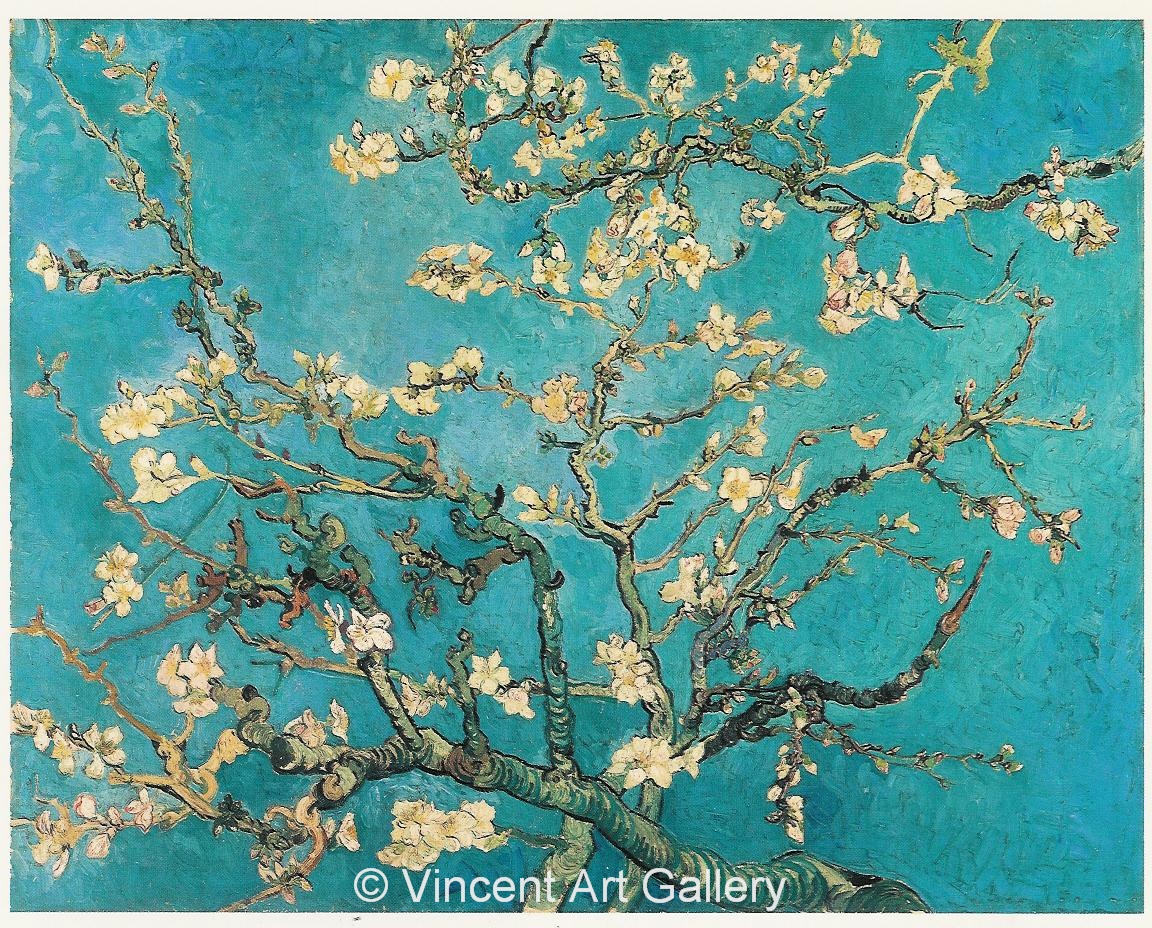 JH1891, Blossoming Almond Tree 001